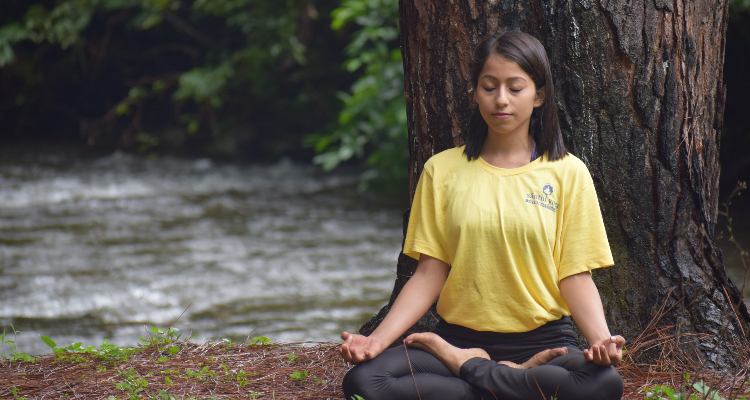 200 Hour Yoga Teacher Training in Kerala, India | 28 Days (Yoga Alliance)