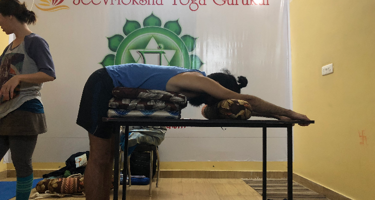 28 days Classical Yoga Immersion 200 hours Integral teacher training program